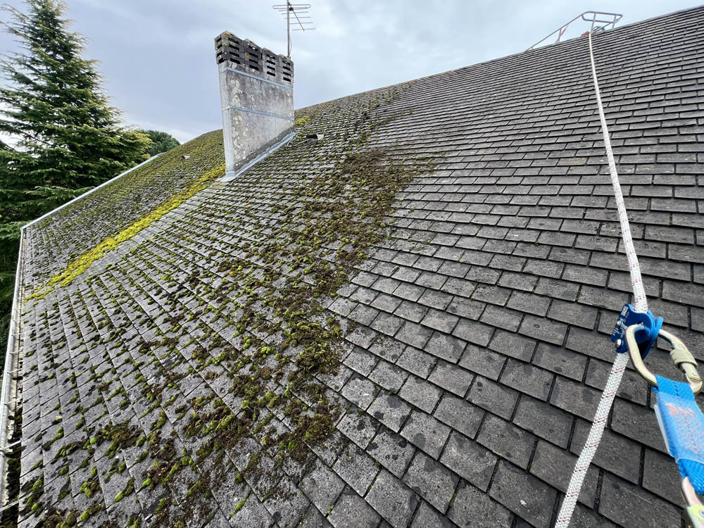 Nettoyage et démoussage toiture en shingle - NBE Nettoyage