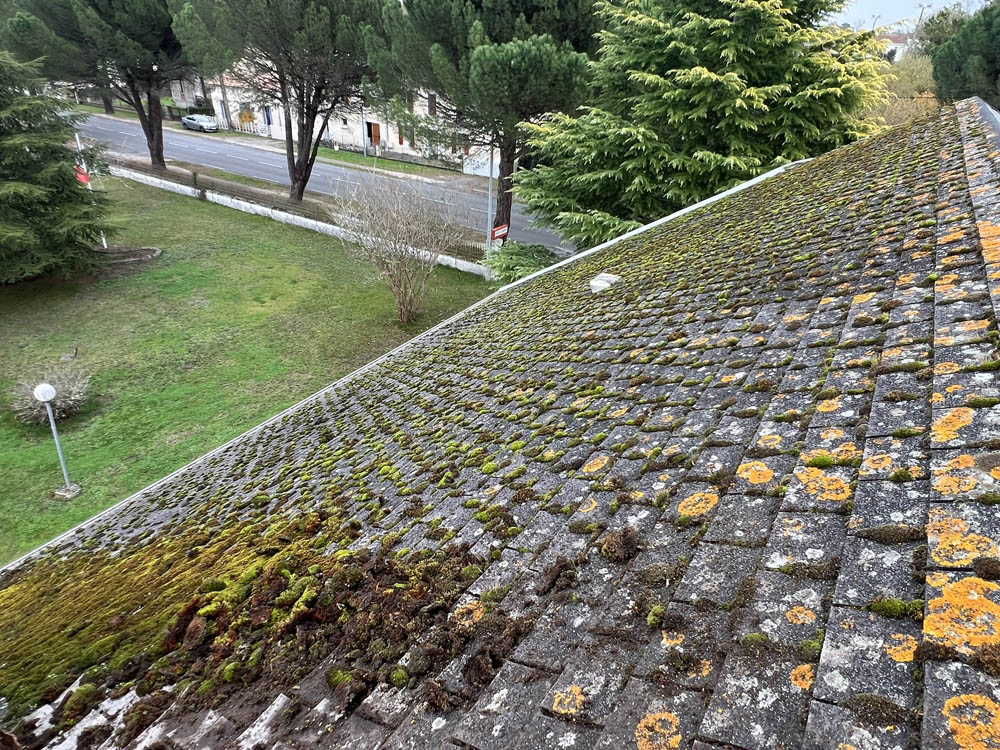 Nettoyage et démoussage toiture en shingle - NBE Nettoyage
