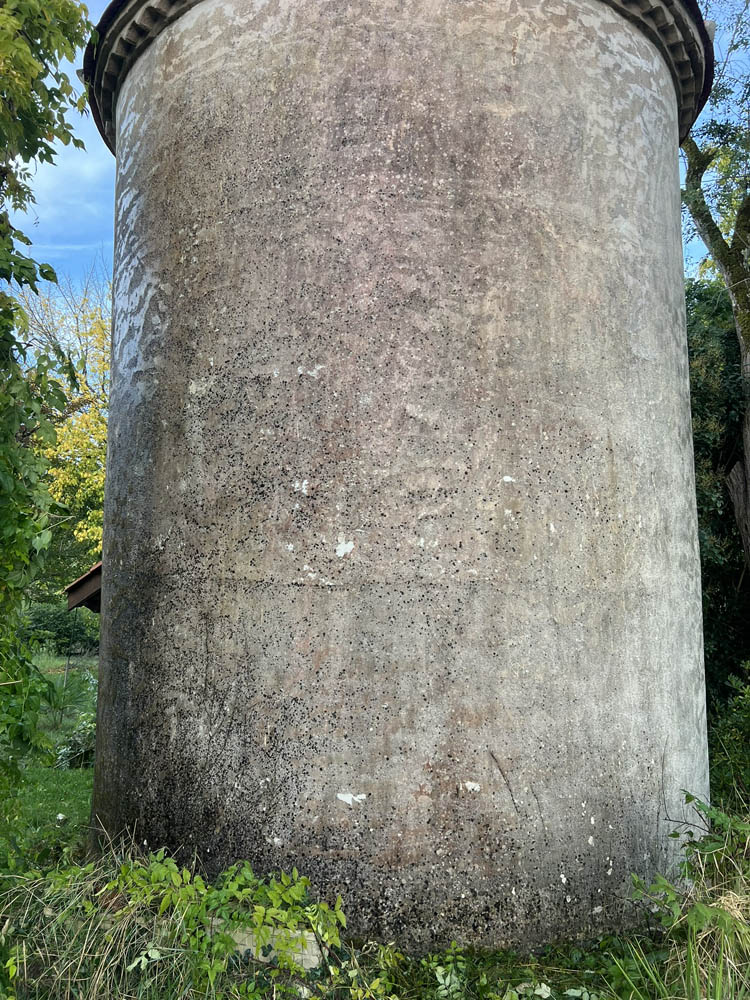 nettoyage façade d'un pigeonnier sur anzex (47)