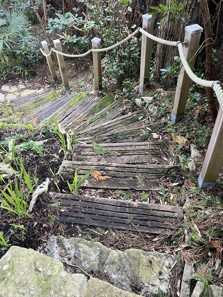 Nettoyage d'un escalier extérieur en Bois au Pyla (33)