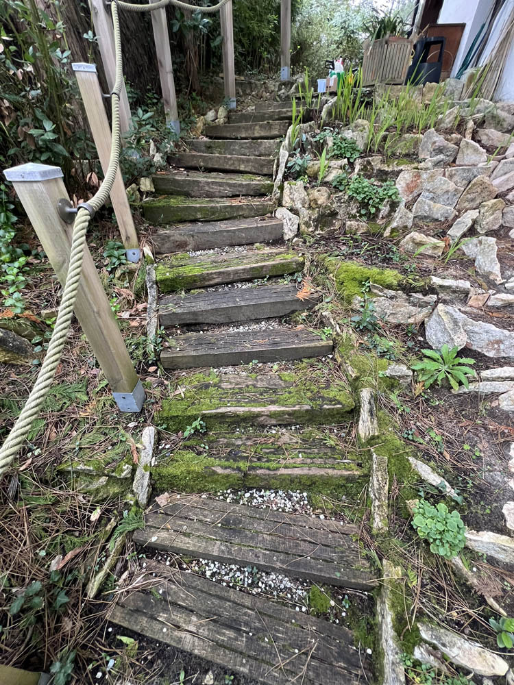 Nettoyage d'un escalier extérieur en Bois au Pyla (33)