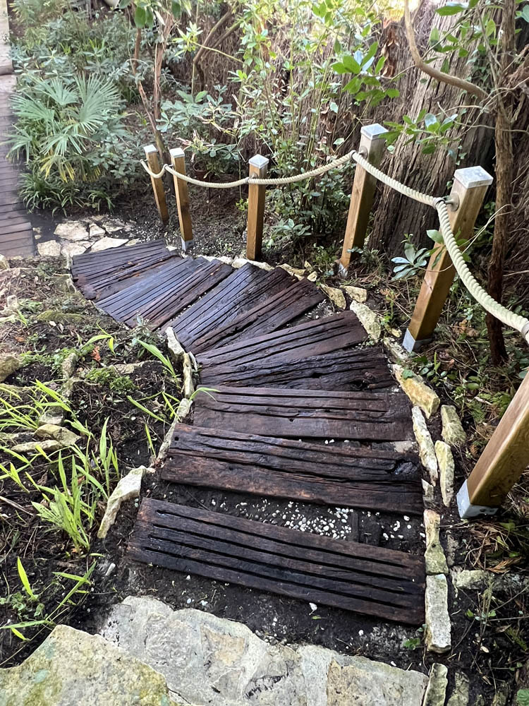 Nettoyage d'un escalier extérieur en Bois au Pyla (33)