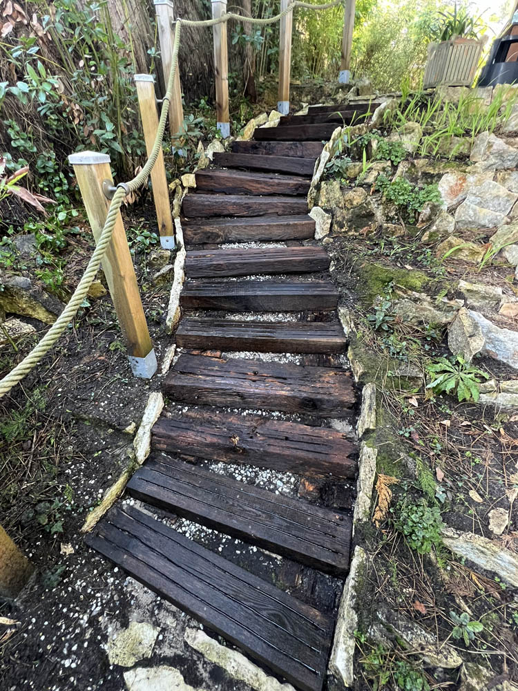 Nettoyage d'un escalier extérieur en Bois au Pyla (33)