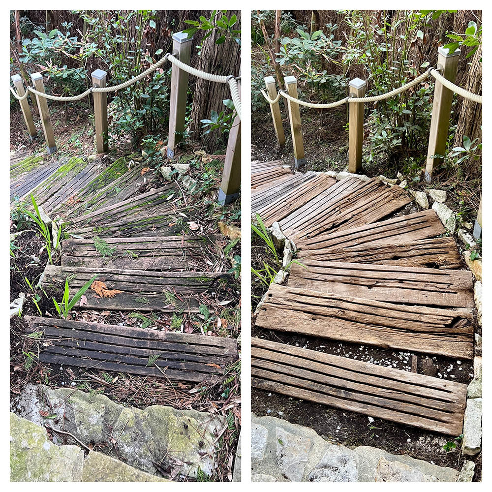 Nettoyage d'un escalier extérieur en Bois au Pyla (33)